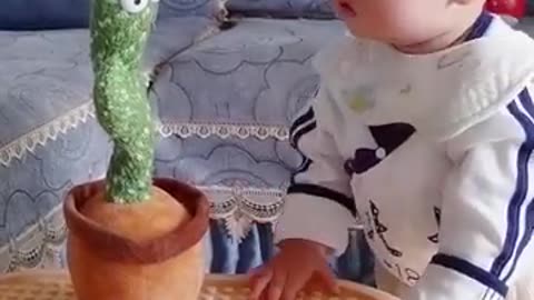 Fun With Dancing Cactus