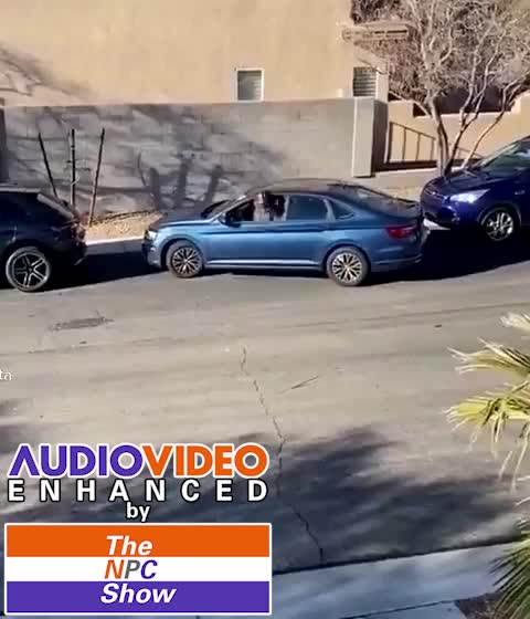 Wamen Parking 🟠⚪🟣The NPC Show