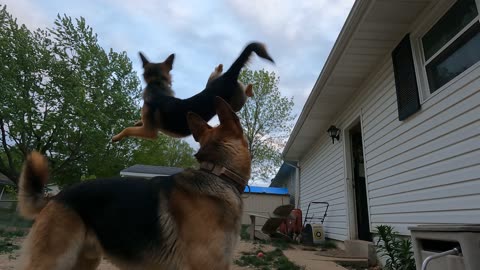 Jumpin' Germans