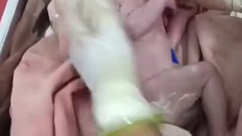 Nursing Hit newborn baby 😱