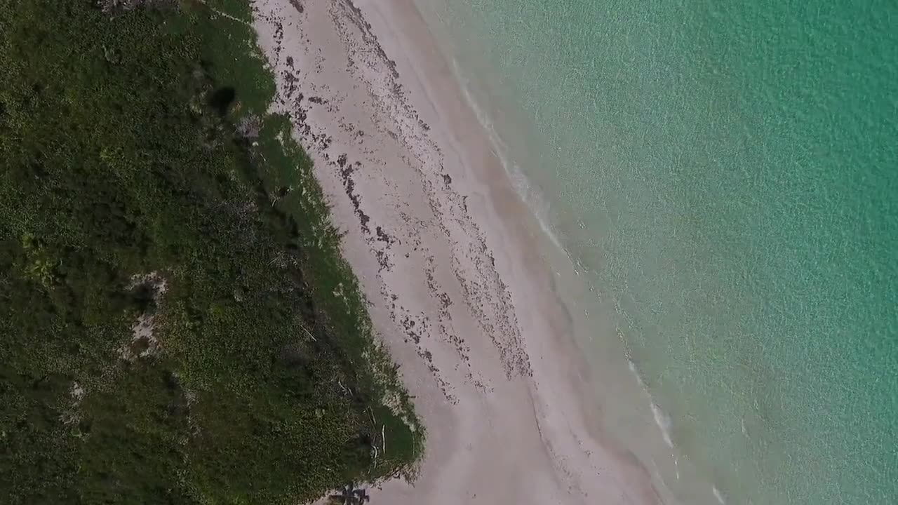 Beautiful Relaxing Music • Nature Relaxation _ _ background music