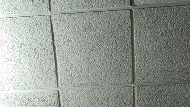 God is Alive..Jesus Christ is LORD...2.8.2022