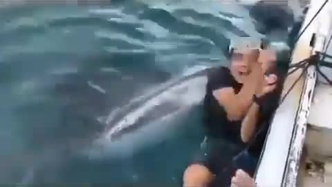 This is a beautiful and charming water-dwelling species