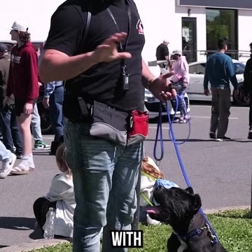 The Difference Between Socialization and Environmentals