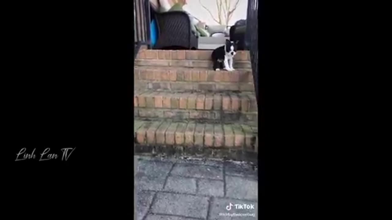 Funny Moments OF The Year Compilation 😂🔥 PART 1