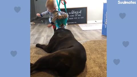 Baby Grows Up With His 125-Pound Dog | The Dodo Soulmates