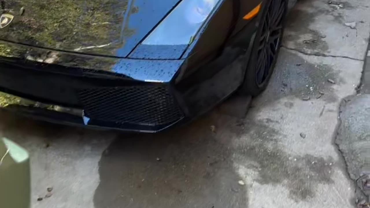 When You Forget Everything On in the Lamborghini