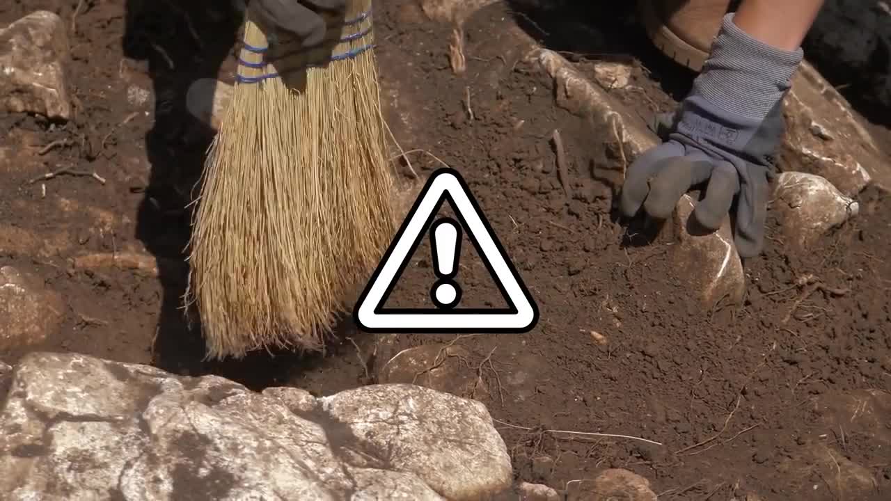 Things YOU Can Find In Nature To Get Rich