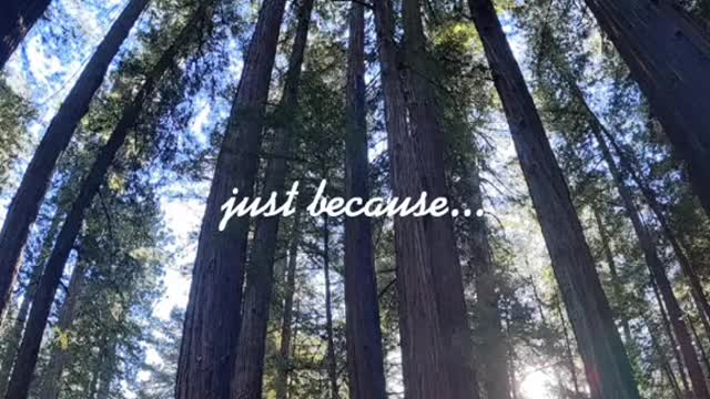 Maybe someday... #thistime #iowa #journey #Love #fypシ #foryou #iwant #redwoods #ideserveit