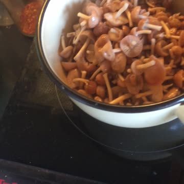 Cooking Wild Champignon Mushrooms