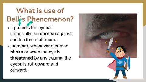 Bell's phenomenon | Bell’s reflex | Palpebral oculogyric reflex | Novice Medic