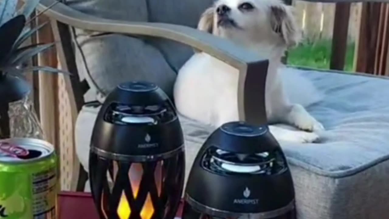 Original Outdoor Wireless Speaker With Stereo Sound and Flame Light