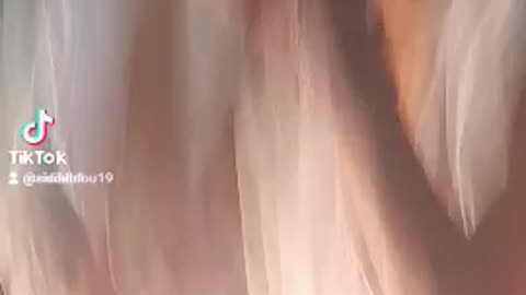 ههههه متابعة بليز