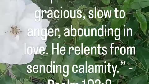 Christian motivation