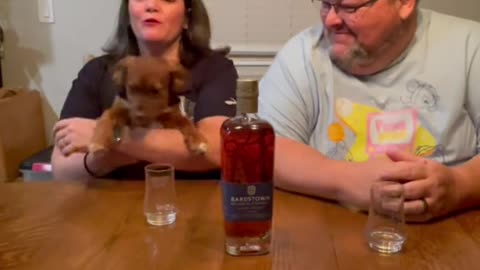 Bardstown Bourbon Company Fusion Series #6 Review