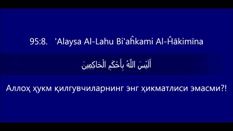 Quran Special Status Video, Quran Islamic Status Video, Holy Quran Lines Whatsapp Status Video,_21