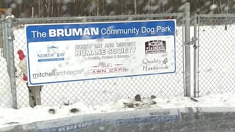 Dog Park in our community