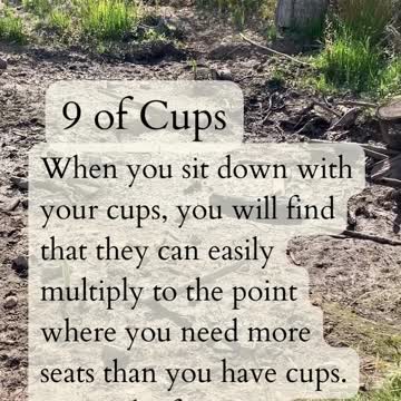 2 of Cups to 9 of Cups 2022-11-18