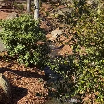 Walkie Talkie Time with Sgt. T.J. - Tell me this ain't paradise.