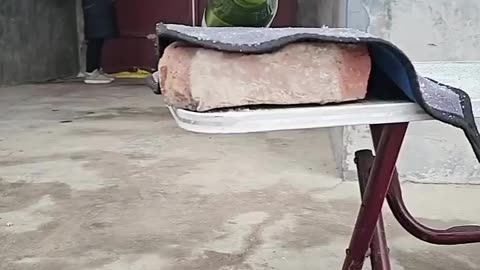 弹弓神技