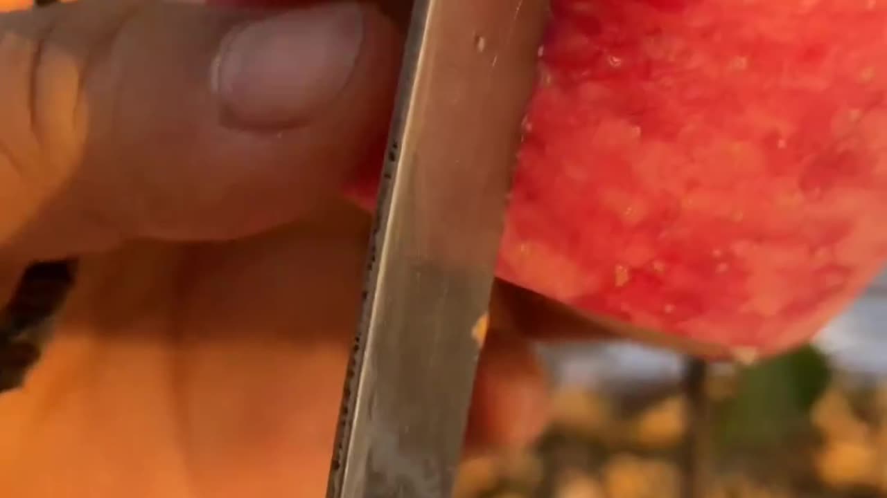Fresh Apple cutting