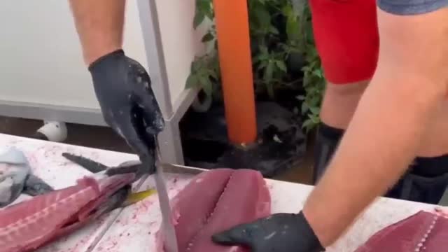 Best fish Cutting Skill