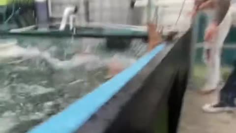 fish grabs man in water near to death