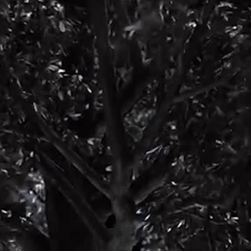 Ukrainian SAM Engages Russian Aircraft