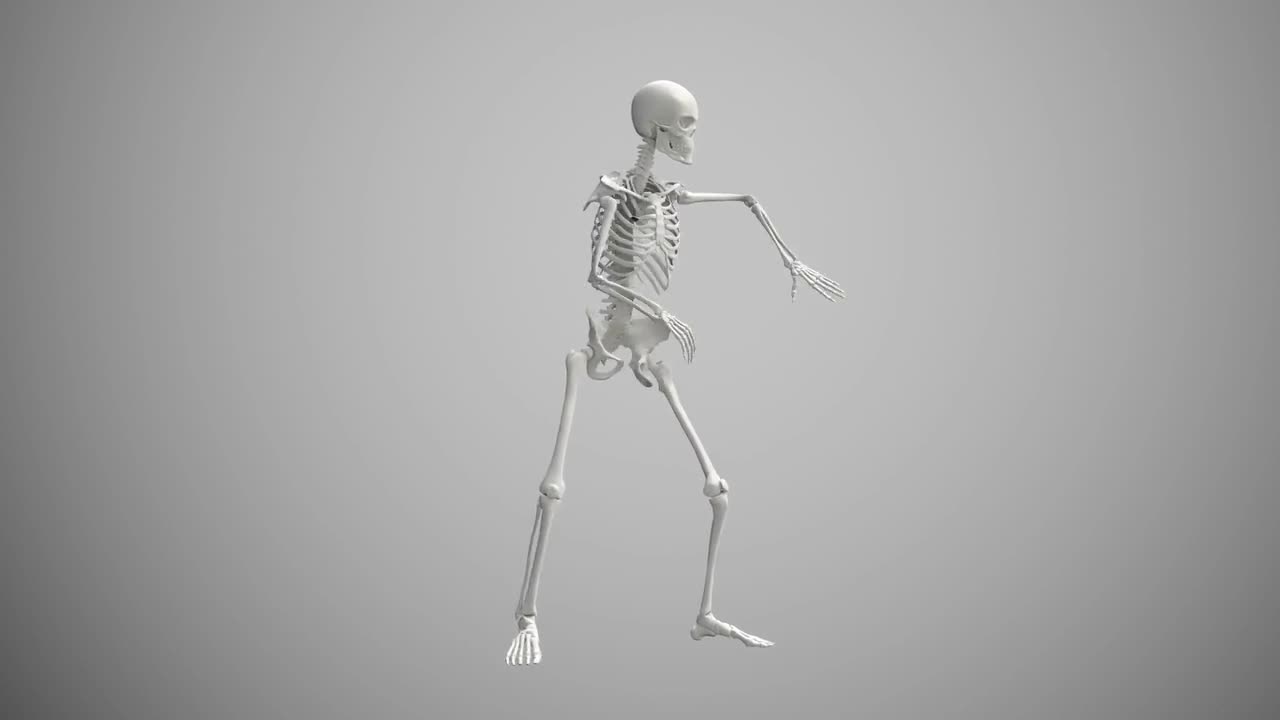 Watch This Skeleton Dance