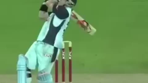 Young David Warner #cricket #shortviral #trendingvideo