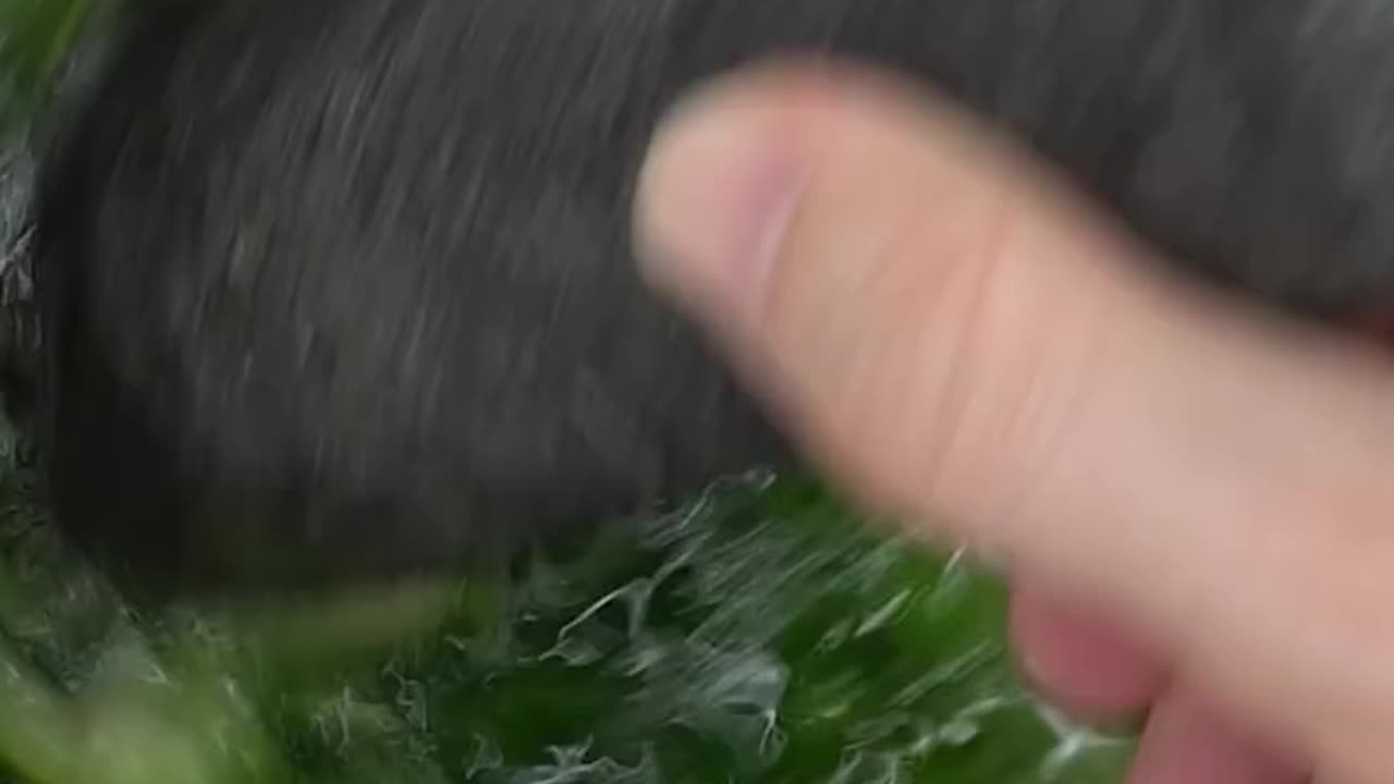 Cucumber Face Mask ASMR
