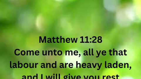 Verse For Today