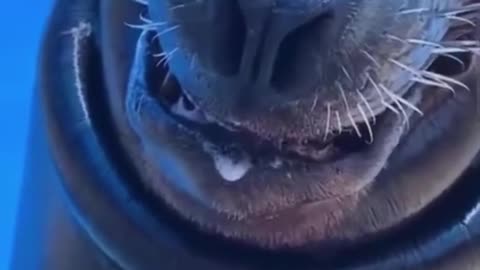 Wait until the end 🤣
