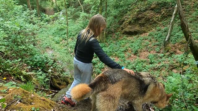 #USA A little girl wandering around in the woods with her fierce dog