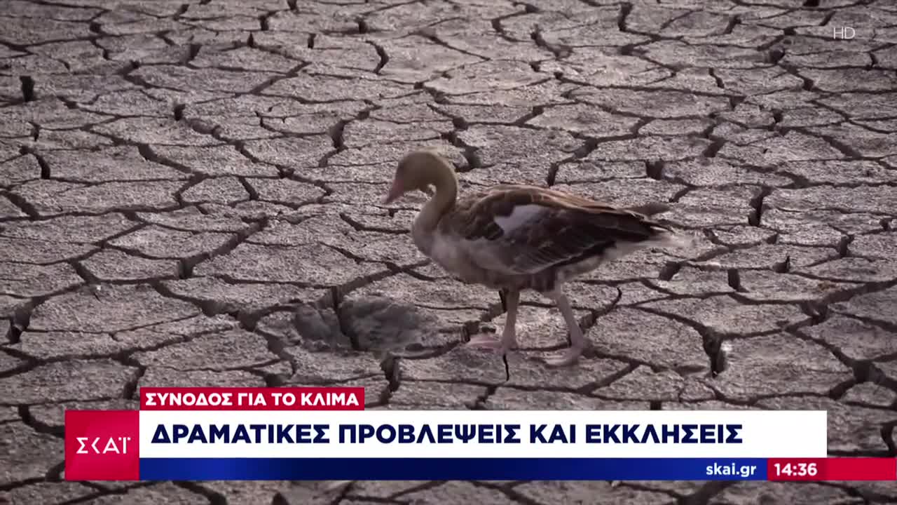 Σύνοδος για το κλίμα: Δραματικές προβλέψεις και εκκλήσεις | Ειδήσεις Μεσημβρινό Δελτίο