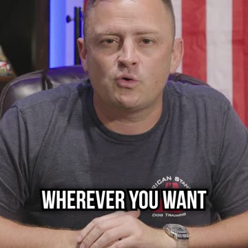 Top 3 Dog Breeds That Shed the Least