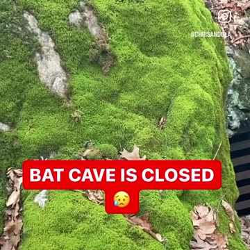 TORY’S CAVE CLOSED 😥
