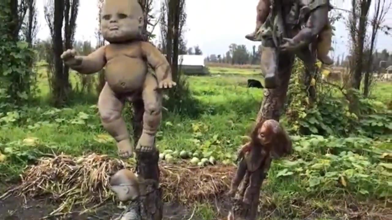 The cemetery of dolls in Mexico