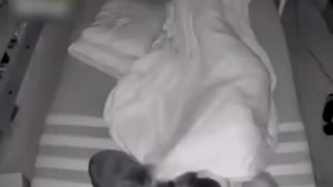 five minutes of laugh and curious moments