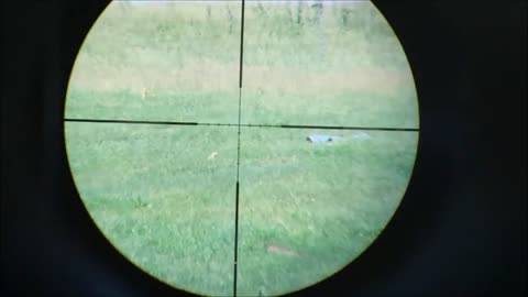 17 Hornet on the prairie dogs