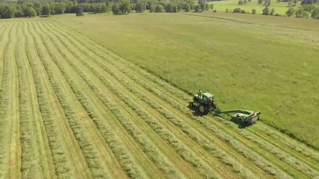 Crop Cutting ✂️