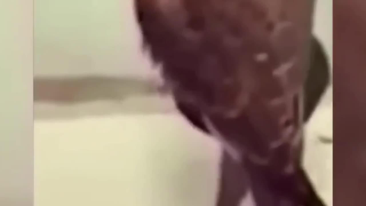 TRY NOT TO LAUGH 15