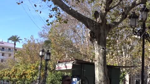 Un despierto que cuando se levanta ve esto.
