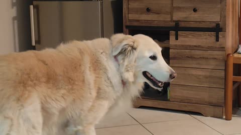 ❌❌attenzione❌❌