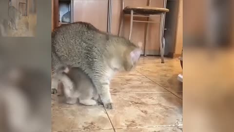 I want to drink mother's milk