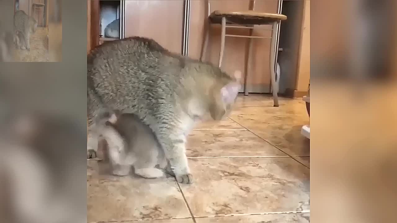 I want to drink mother's milk
