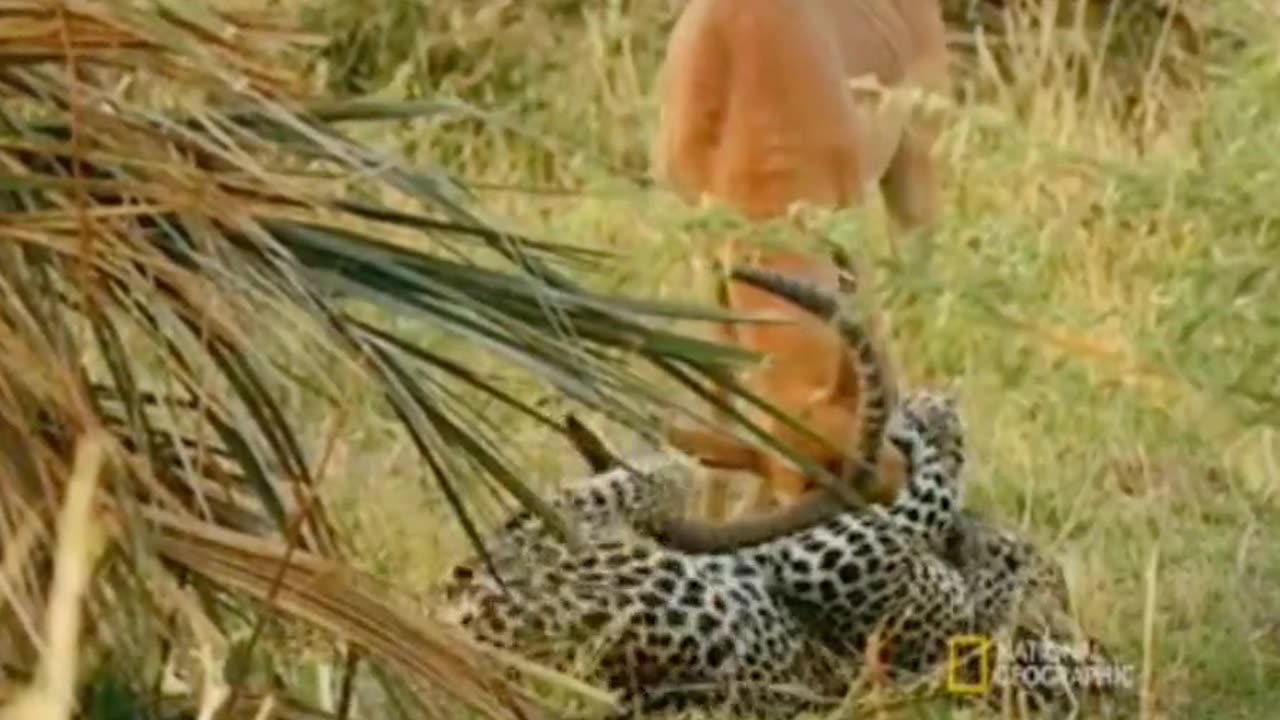 Nature wild hunt