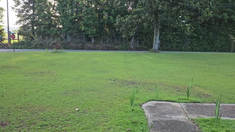 GSG Porch Report 250523