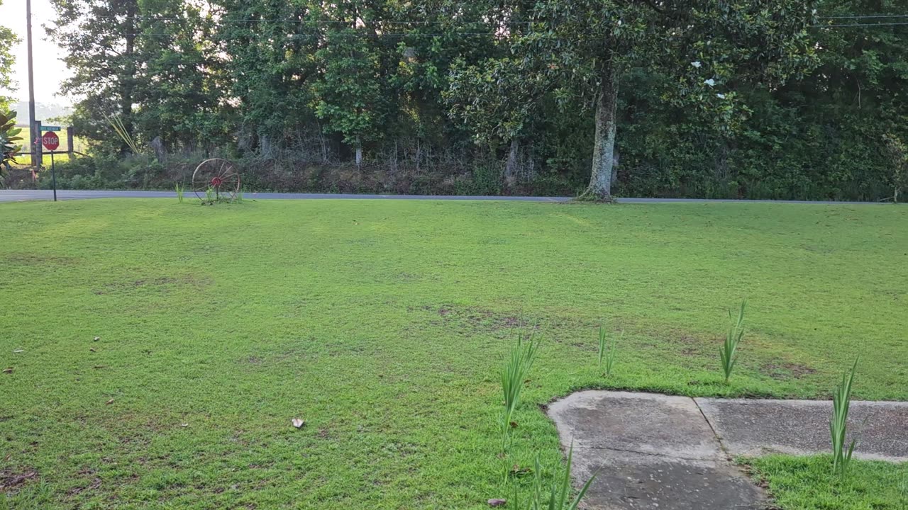 GSG Porch Report 250523