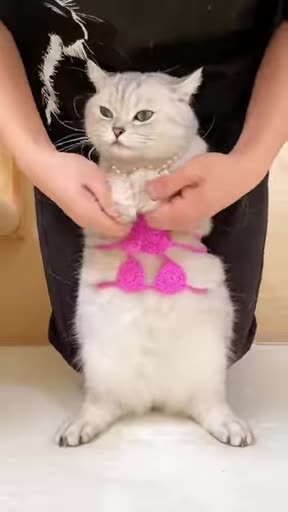 Cute overload ❣️❣️❣️